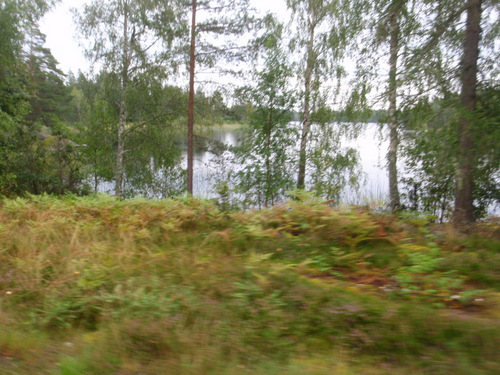 Plenty of water in Sweden.